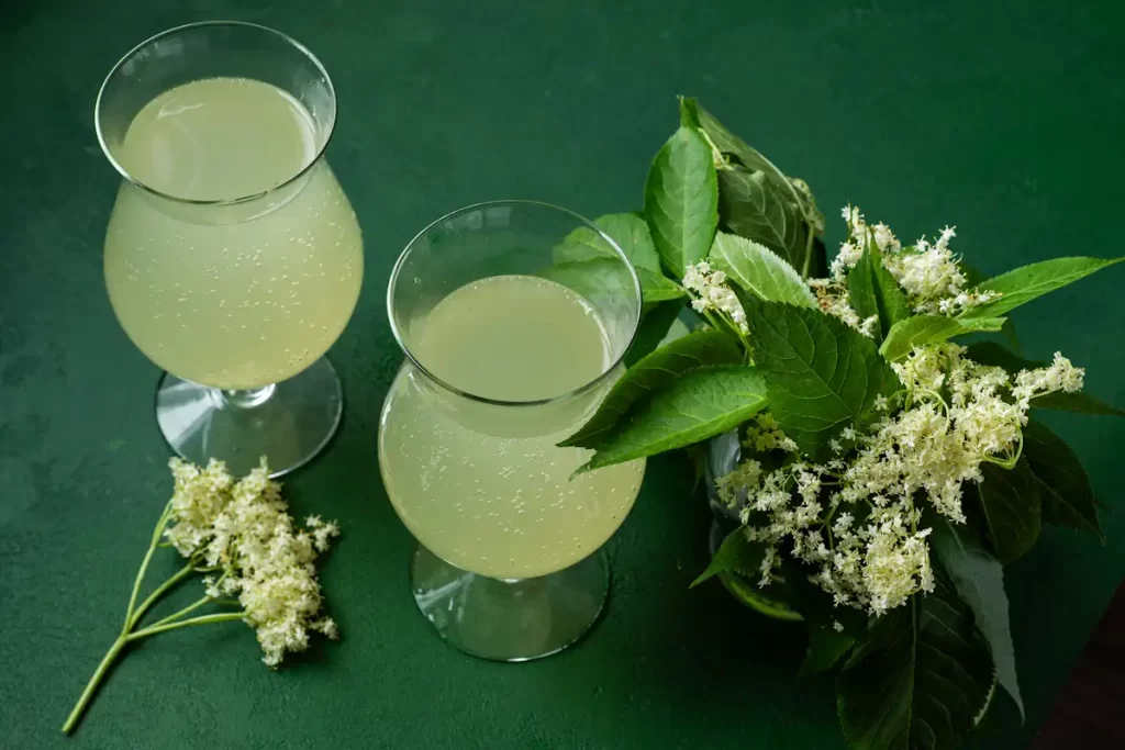 limonade fleur de sureau posé sur une surface verte à côté de quelques fleurs de sureau