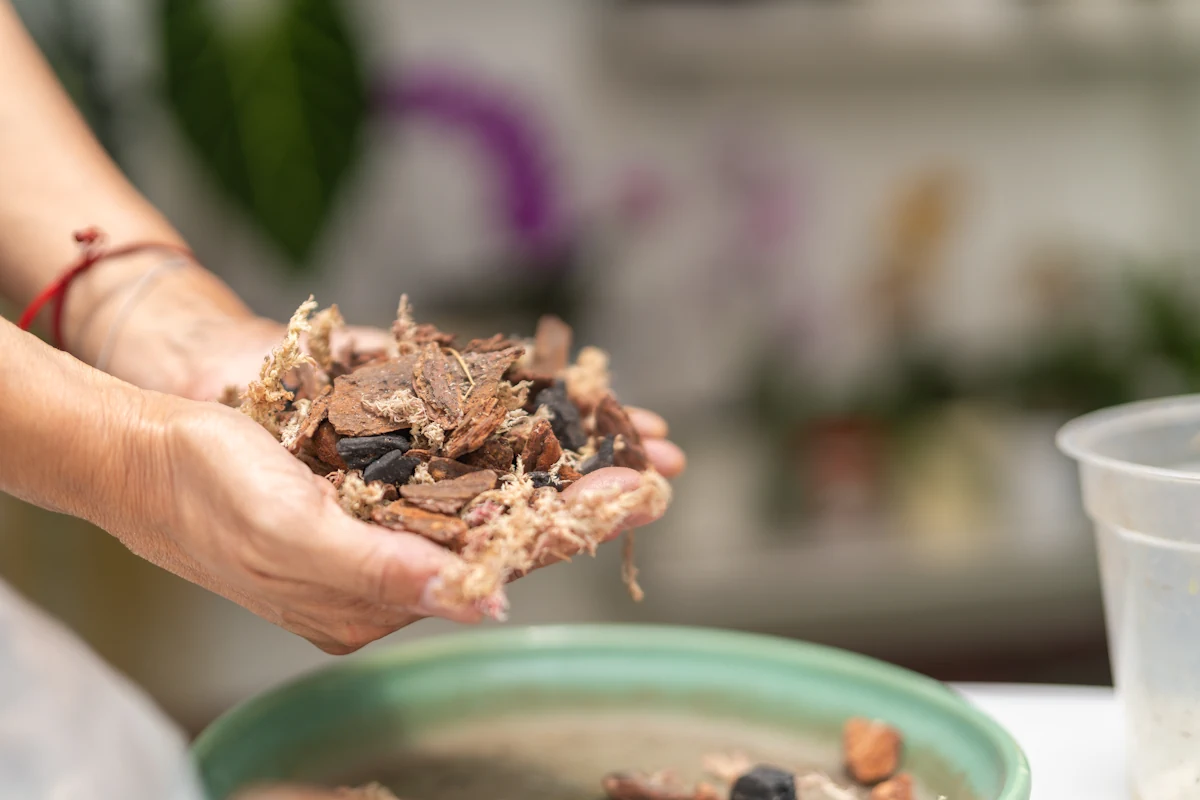 Une femme qui tient un compost dans ses mains